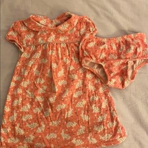Mini Boden Bunny Dress and diaper cover